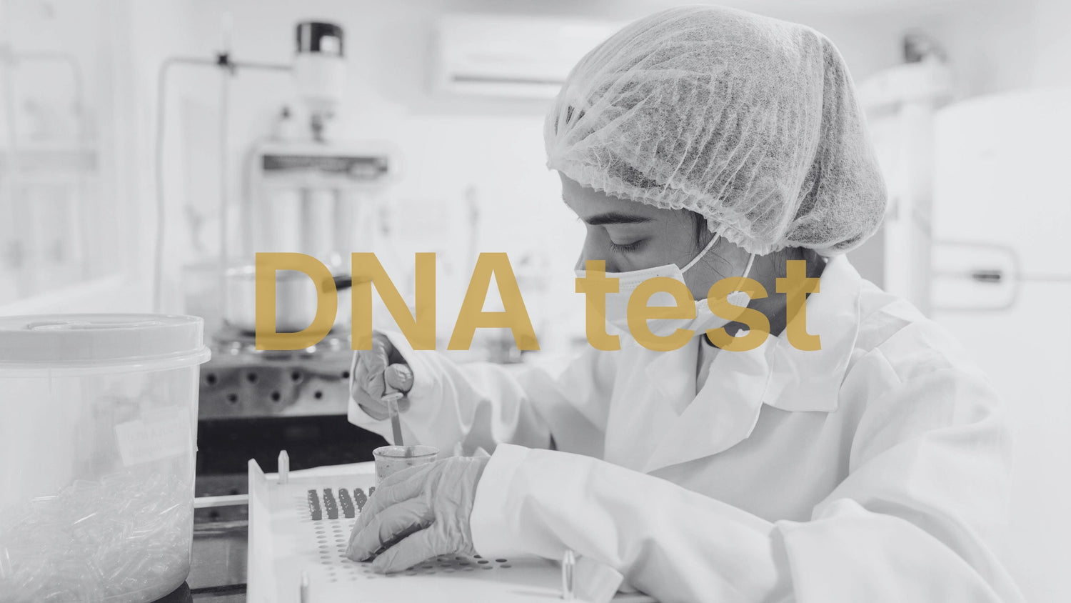 Co odhalí DNA test o vašem zdraví, metabolismu a výživě? - Axioniq labs