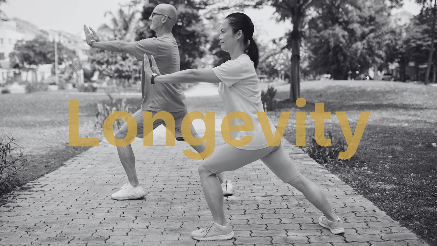 Co je longevity: jak zpomalit stárnutí a žít déle zdravě - Axioniq labs